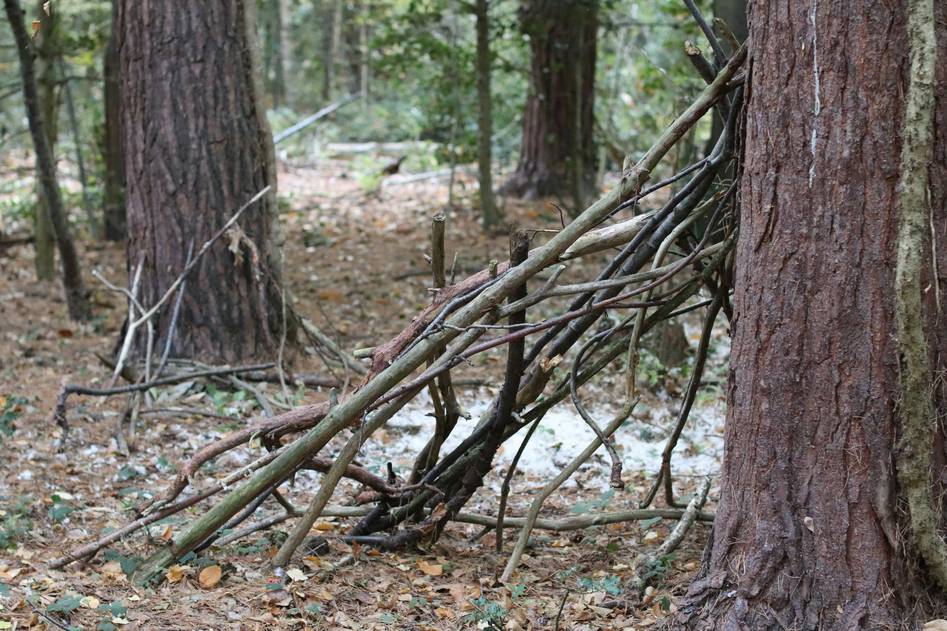 Diverse group of outdoor educators teaching fire-starting techniques in the woods