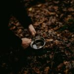 Affordable Survival Skills: 7 Proven Ways to Avoid Costly Wilderness Mistakes