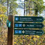 Camping Survival Skills Quiz: 7 Proven Tips to Avoid Costly Mistakes