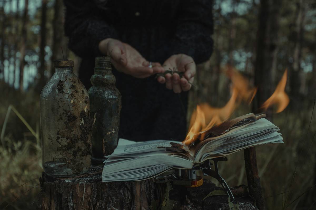 Emergency Preparedness Survival Outdoor Skill Book: 7 Proven Tips to Avoid Costly Mistakes