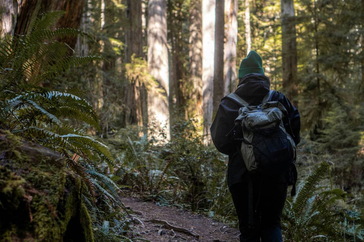 Outdoor Survival Skills Larry Olsen: 7 Proven Tips to Avoid Costly Mistakes
