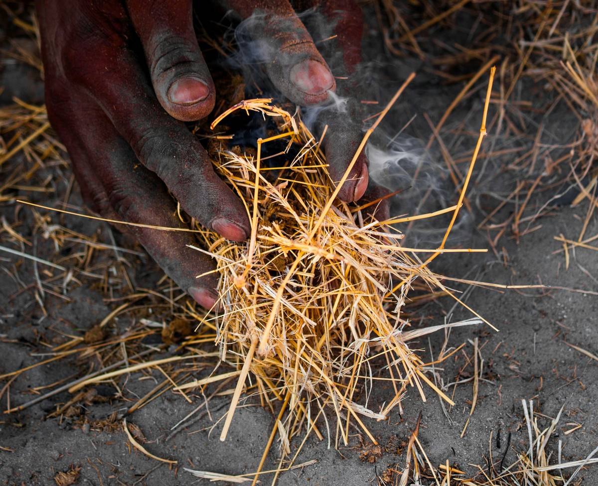 survival skills to learn: person building debris shelter in forest