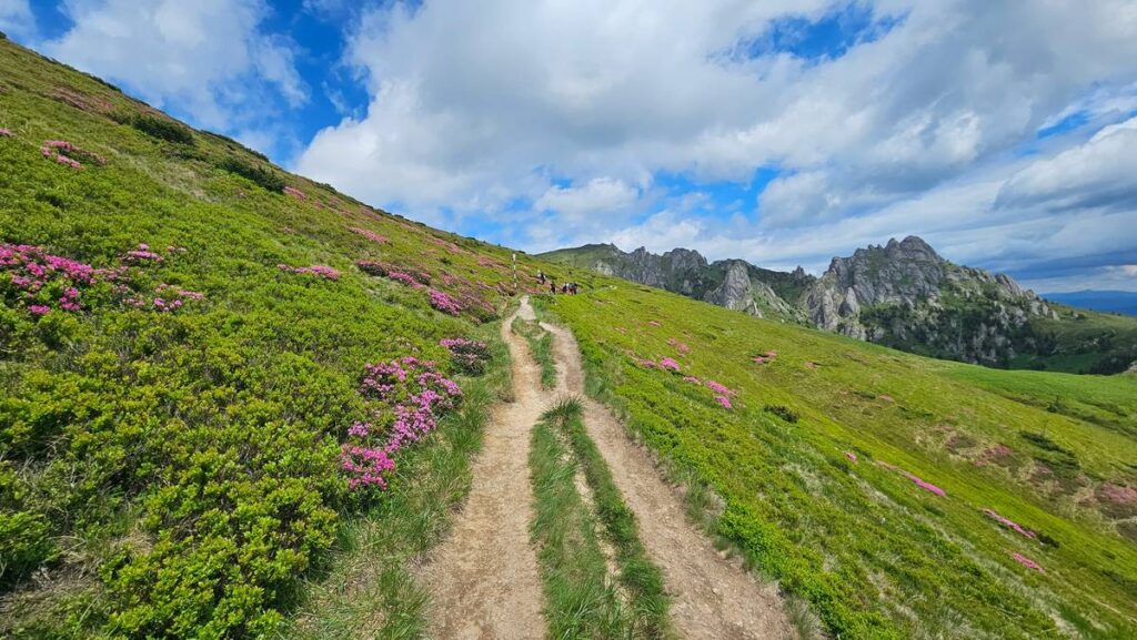 Beautiful landscape in the Ciucas Mountains, Transylvania, Romania, near the city of Brașov.
