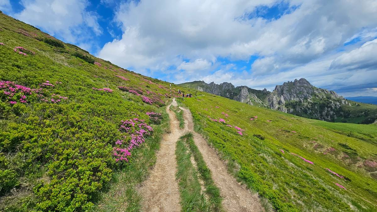 Beautiful landscape in the Ciucas Mountains, Transylvania, Romania, near the city of Brașov.