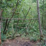 What Are Survival Skills: 7 Essential Tips to Avoid Costly Mistakes in the Wild