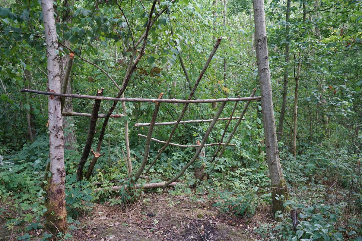What Are Survival Skills: 7 Essential Tips to Avoid Costly Mistakes in the Wild